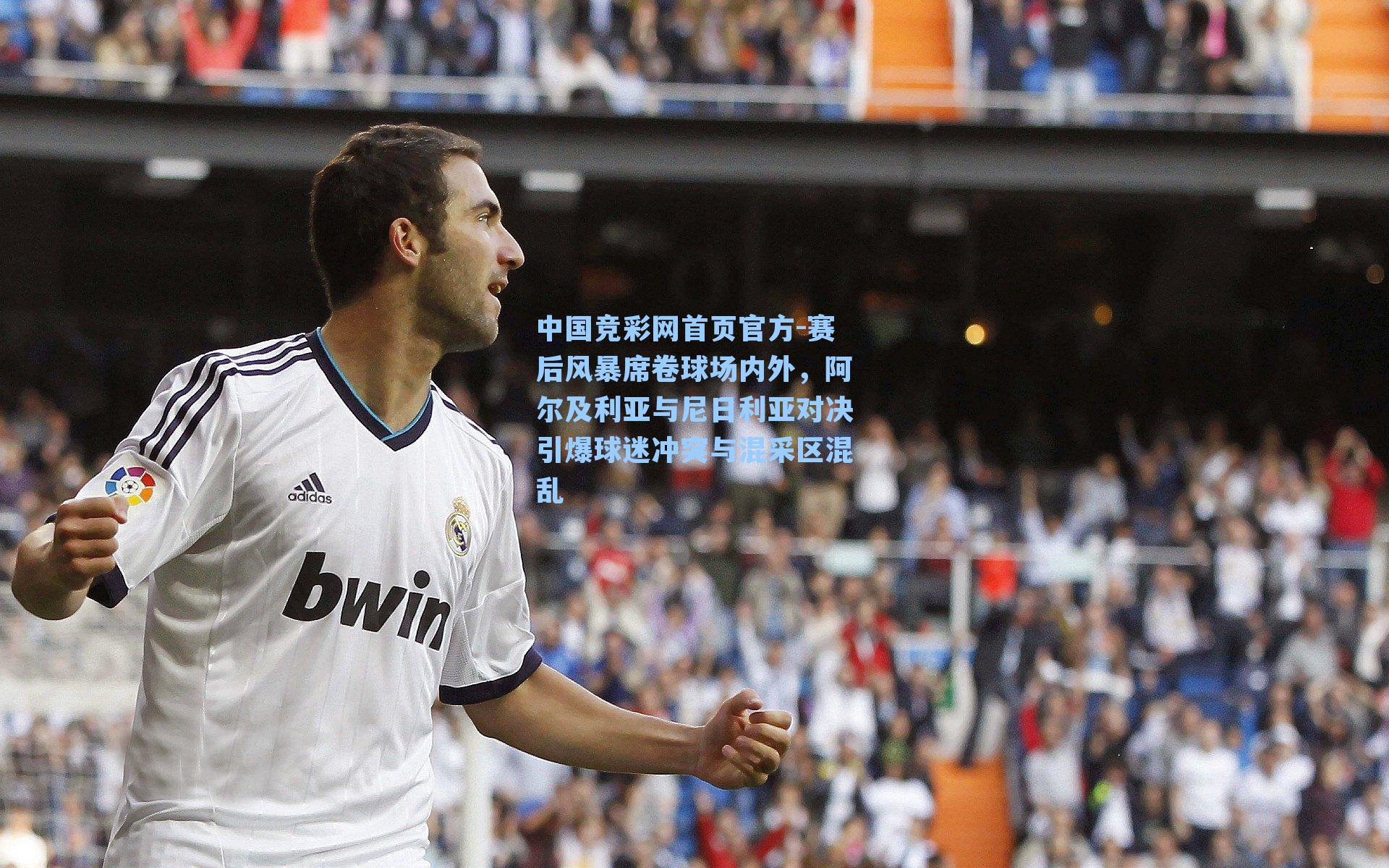 赛后风暴席卷球场内外,阿尔及利亚与尼日利亚对决引爆球迷冲突与混采区混乱