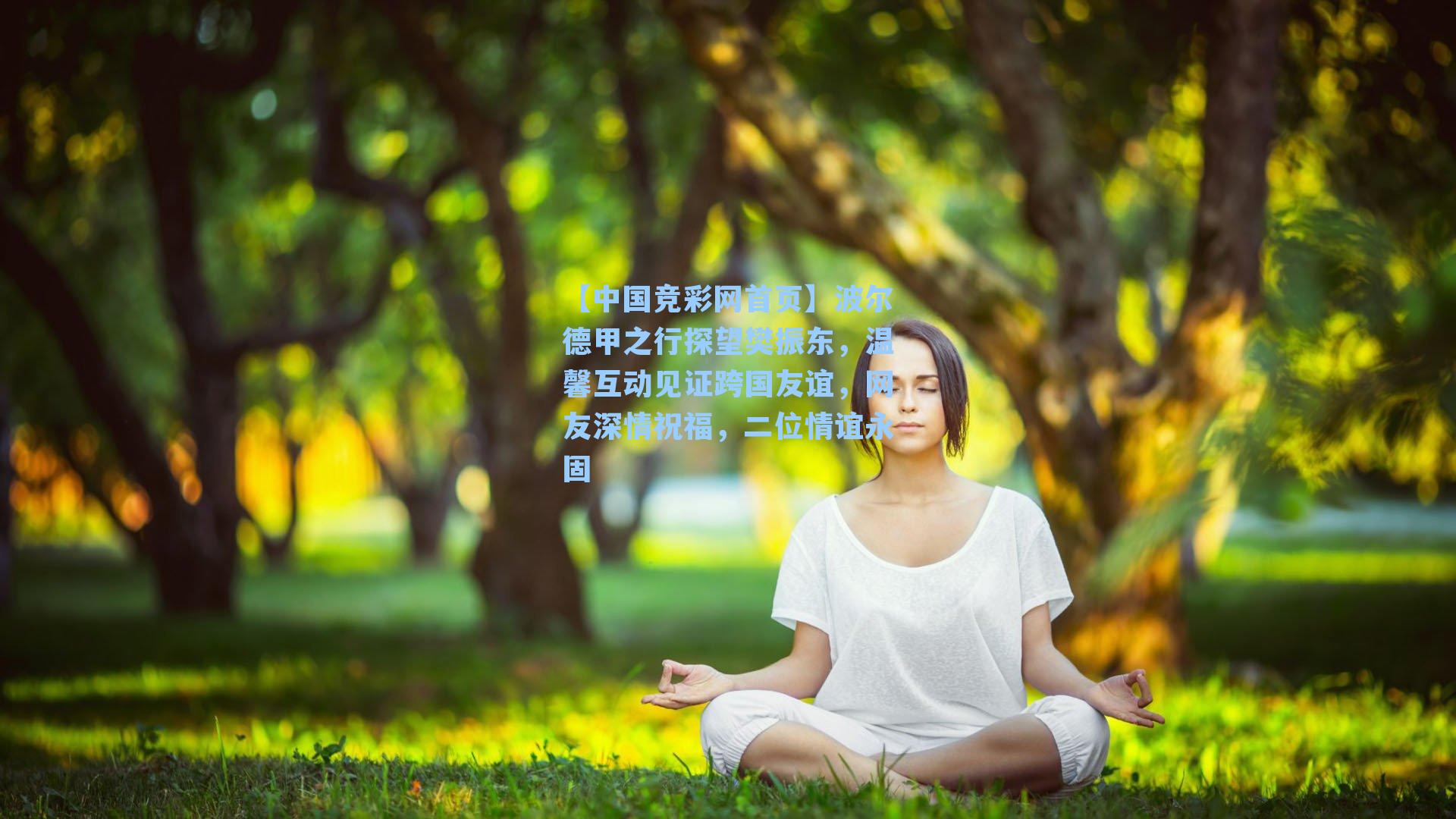【中国竞彩网首页】波尔德甲之行探望樊振东，温馨互动见证跨国友谊，网友深情祝福，二位情谊永固
